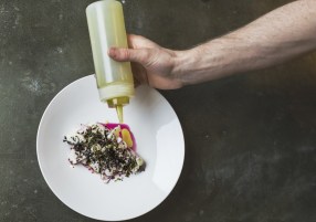 (2) Fish Dish - Silo - XDBPhotography